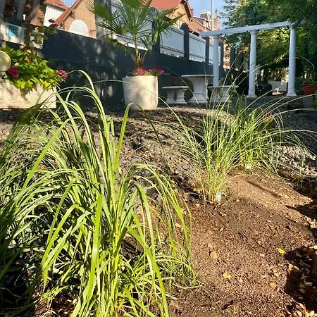 马特兹酒店 酒店 3*